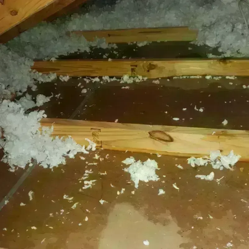 Attic Water Damage in Waldon, CA