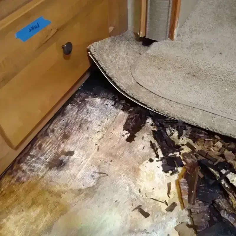 Wood Floor Water Damage in Waldon, CA